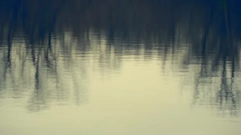 Abstract Blurry Reflection of Trees in Water - Vintage Color - Painterly Stock Footage 323048731
