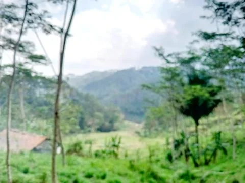 Abstract blurry view of mountain landscape with green trees and grass. Stock Photos