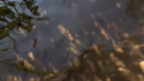 Abstract blurry water surface with sunlight reflections and gentle ripples Stock-Footage 325064601