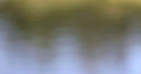 Abstract blurry wavy river background Stock Footage 232302280