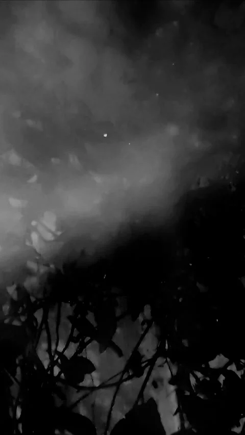 Abstract BNW Dark Night, Vertical Stock Footage 303211157