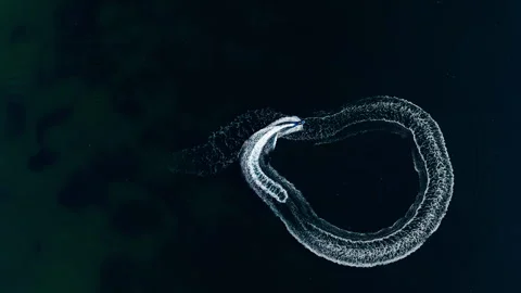 Abstract Boat Wake Pattern on Dark Blue Sea Surface Top Down View 스톡 동영상 326136431