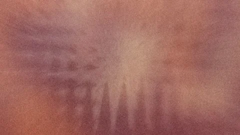 Abstract Boho Grunge Design Video stock 296984301