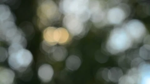 Abstract bokeh background Stock Footage 53865208
