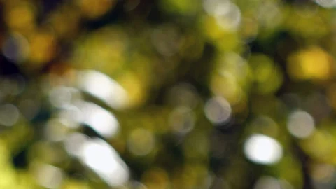 Abstract  Bokeh Background Stock Footage 96094791