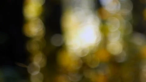 Abstract  Bokeh Background Stock Footage 96094851