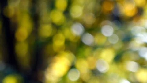 Abstract  Bokeh Background Stock Footage 96094949