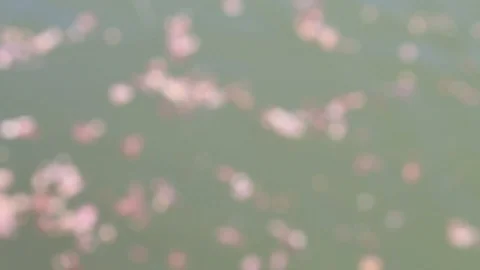 Abstract bokeh background Stock Footage 127884447