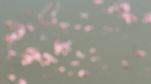 Abstract bokeh background Stock Footage 127884465