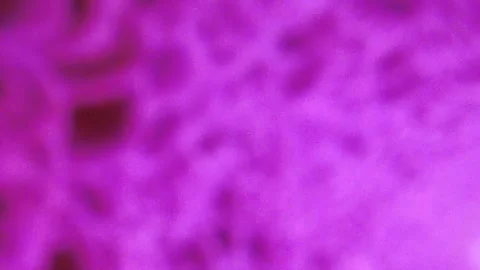 Abstract bokeh background Stock Footage 339278527