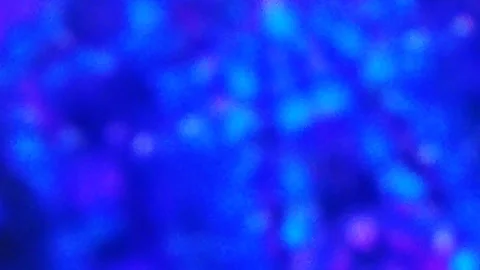 Abstract bokeh background Stock Footage 339279205