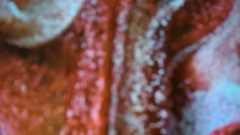 Abstract bokeh background Stock Footage 339283830