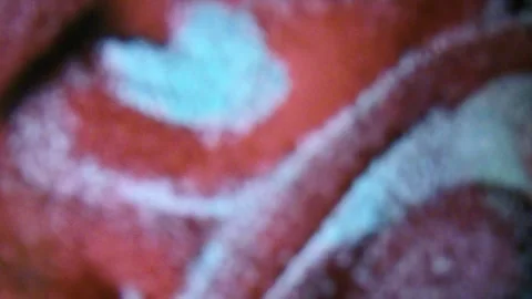 Abstract bokeh background Stock Footage 339283998