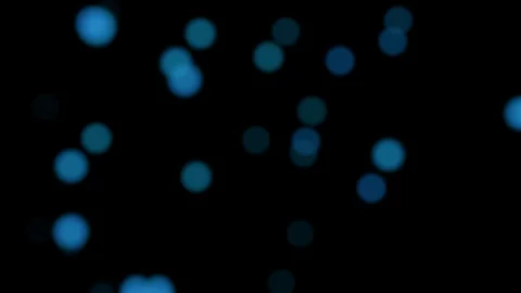 Abstract bokeh background with many flying blurred blue lights - on black (4K) Stock-Footage 104601605