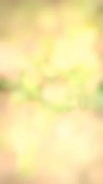 Abstract bokeh background Photos