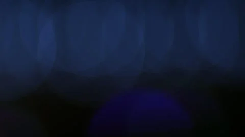 Abstract Bokeh Christmas Lights Blinking With Soft Overlapping as Colorful .. 動画素材 339743556
