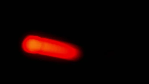 Abstract Bokeh  Stock Footage 133716537