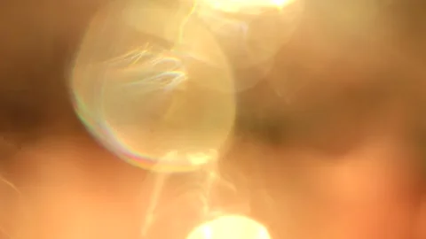 Abstract bokeh light blur background motion. Soft glowing defocused particles fo Видео 340450142