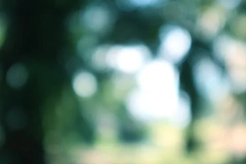 Abstract bokeh light effect blurred green nature background Stock Photos