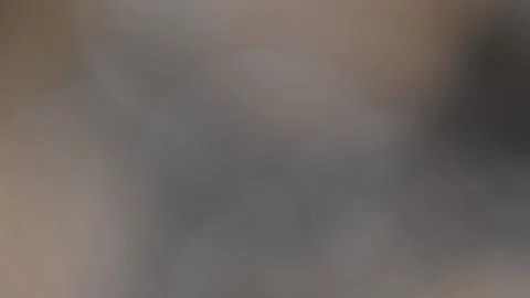 Abstract bokeh light leaks on a white background Stock Footage 160836012