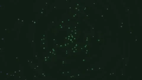 Abstract bokeh light particles falling on dark screen for background effects Stock Footage 342203106
