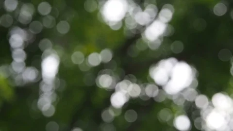 Abstract bokeh lights. Abstract nature background Stock Footage 84560897