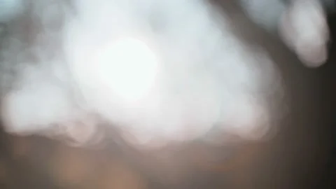 Abstract bokeh lights. Blurred beautiful view of the setting sun through tree Stock Footage 147208971