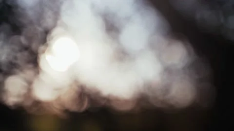 Abstract bokeh lights. Blurred beautiful view of the setting sun through tree Video stock 147328876