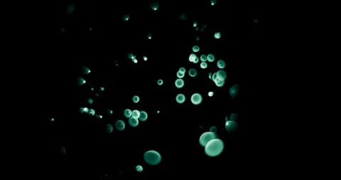 Abstract bokeh lights changing colors, close up b-roll shot for background Stock Footage 119627355