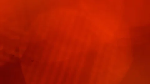 Abstract bokeh lights, subtle and sparkly on a background Stock Footage 125682043