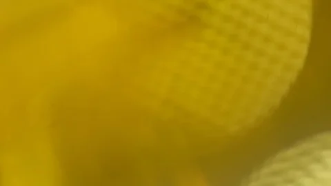 Abstract bokeh lights, subtle and sparkly on a background Stock Footage 125682296