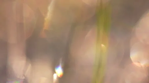 Abstract bokeh pattern with subtle light orbs and a rainbow highlight, creating Stock Footage 307614142