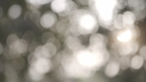 Abstract bokeh of sunlight filtering through green leaves Video stock 332580192