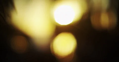 Abstract Bokeh Sunset and Plants -  Artistic background Stock Footage 81690904