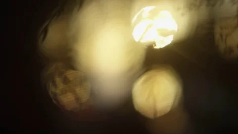 Abstract Bokeh Sunset and Plants -  Artistic background Vídeo Stock 83228511
