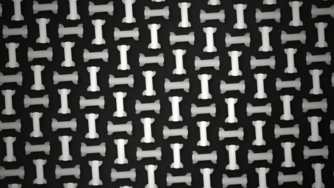Abstract Bone Pattern Background: White Dog Chews on Black Backdrop Stock Footage 346661984