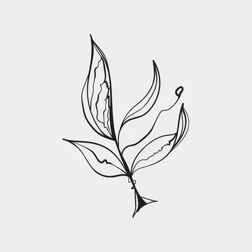 Abstract Botanical Leaf Sprig Line Art Ilustración de archivo