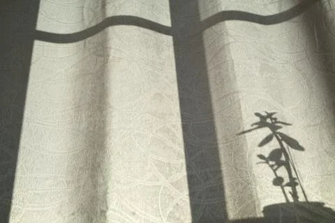 Abstract Botanical Pattern Created by Sunlight on Curtains Stock Photos