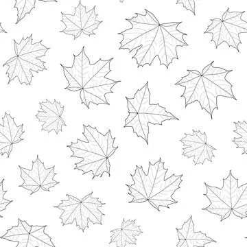 Abstract botanical pattern. Seamless print composed of black line of leaves.. イラスト素材