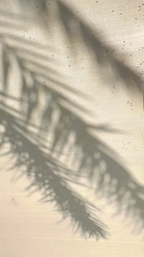 Abstract Botanical Shadows Moving Across Beige Fabric in Natural Sunlight. 库存影片 336394014