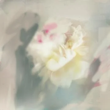 Abstract bouquet Stock Photos