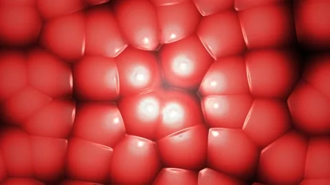 Abstract Bowels Texture Background Seamless Looping Stock Footage 138629242