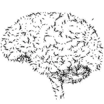 Abstract brain graphic Illustrazione stock