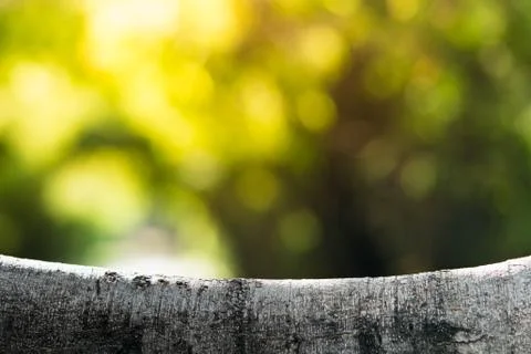 Abstract branch on bokeh background using as a background Stock Photos