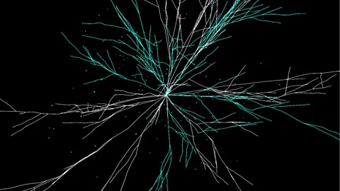 Abstract branching network structure in motion against dark background with.. Stock Footage 345945548