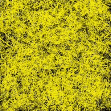 Abstract Briar Background Stock Photos