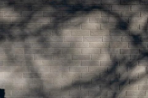 Abstract brick wall background with branch shadows Stock Photos