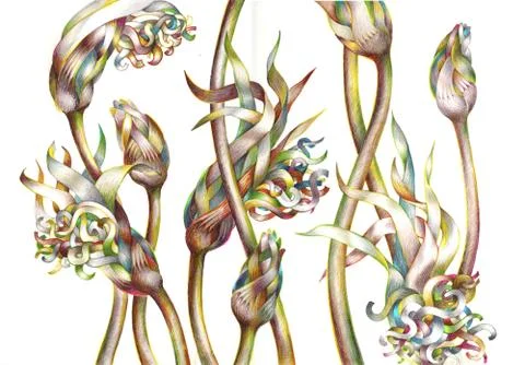 Abstract bright flowers Stock Illustration