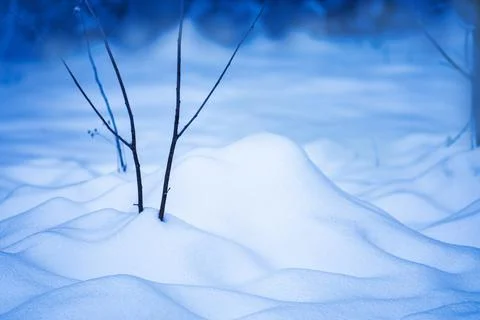 Abstract bright snowy background with copy space. Winter fresh snowdrifts. Stock Photos
