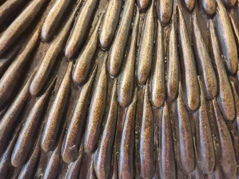Abstract Bronze Metallic Pattern Texture Close Up Background Design Stock Photos